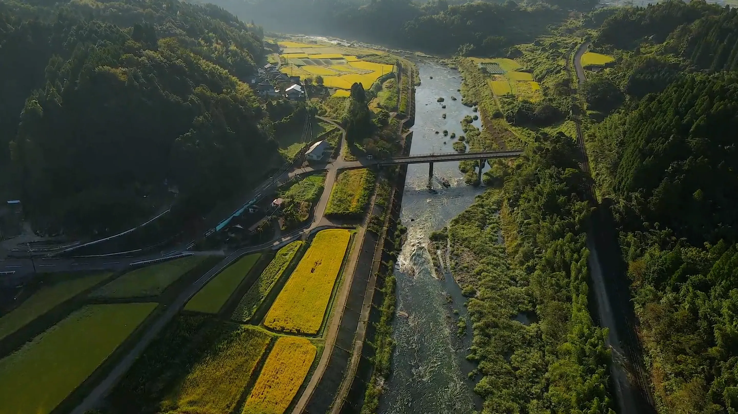 211002大野川