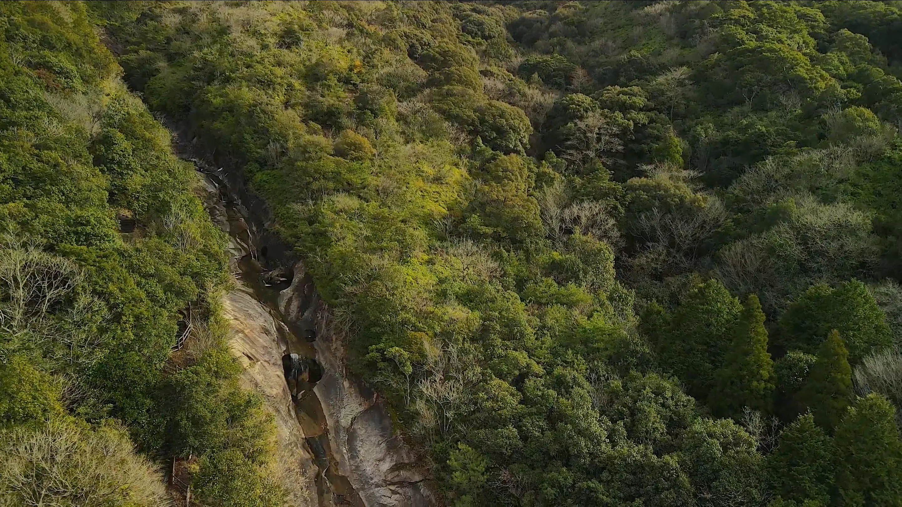 220115祝口観音の滝