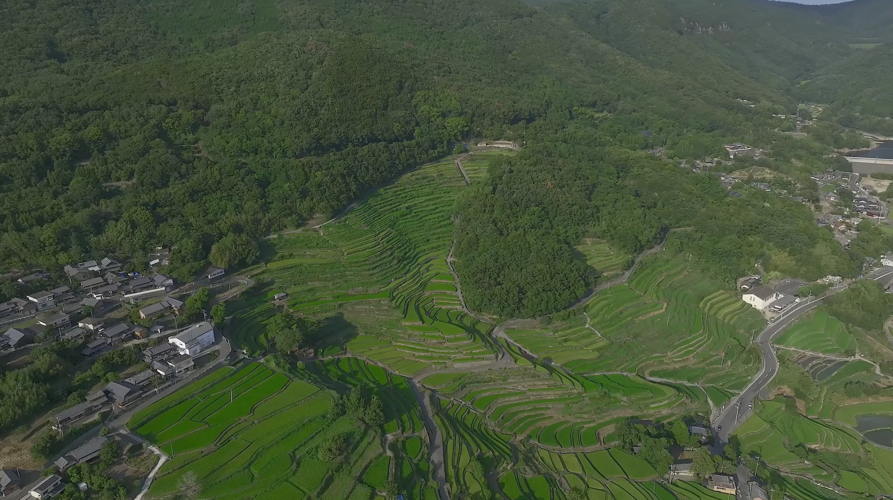 220813 Nakayama Senmaida / Đập Tonogawa
