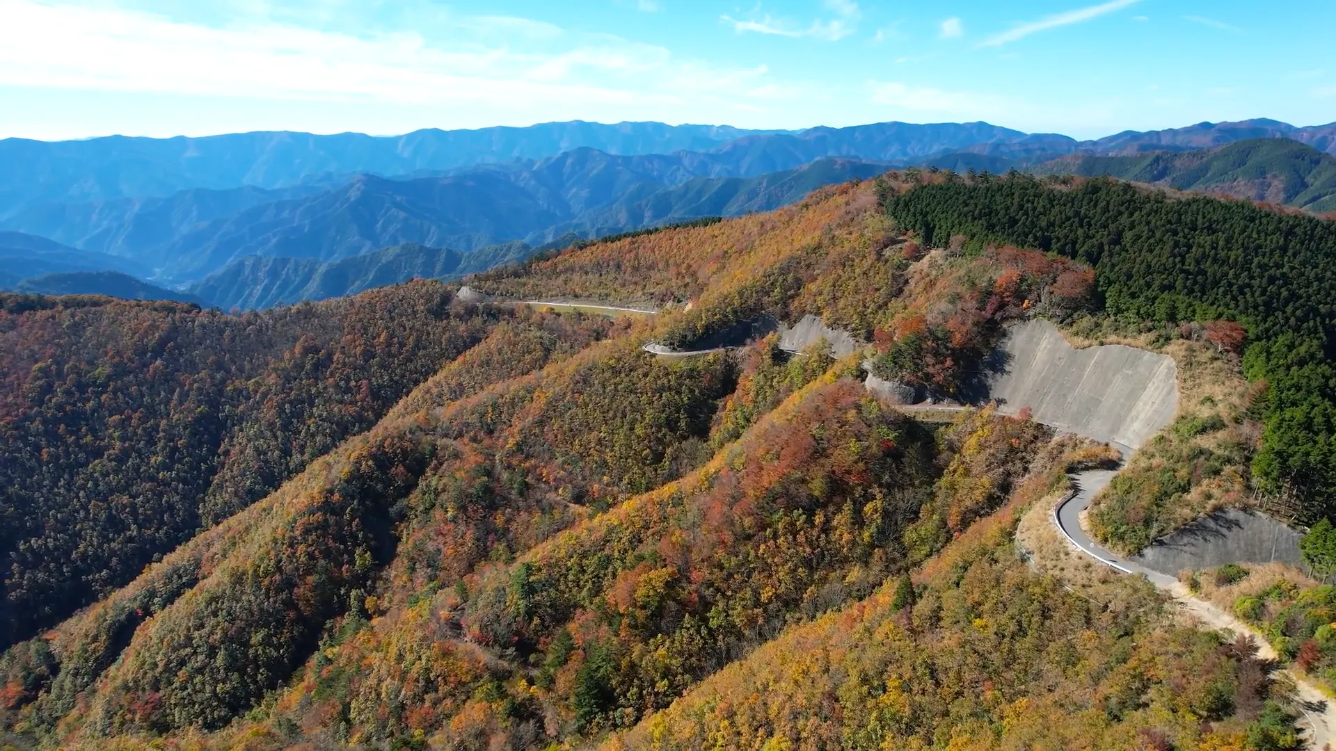 221106林道川津今西線
