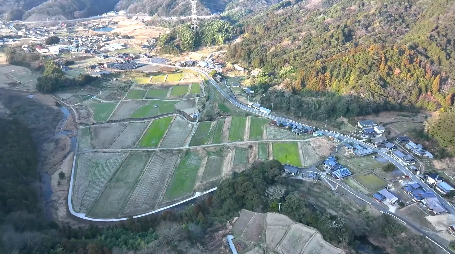 240211雨滝音田の棚田