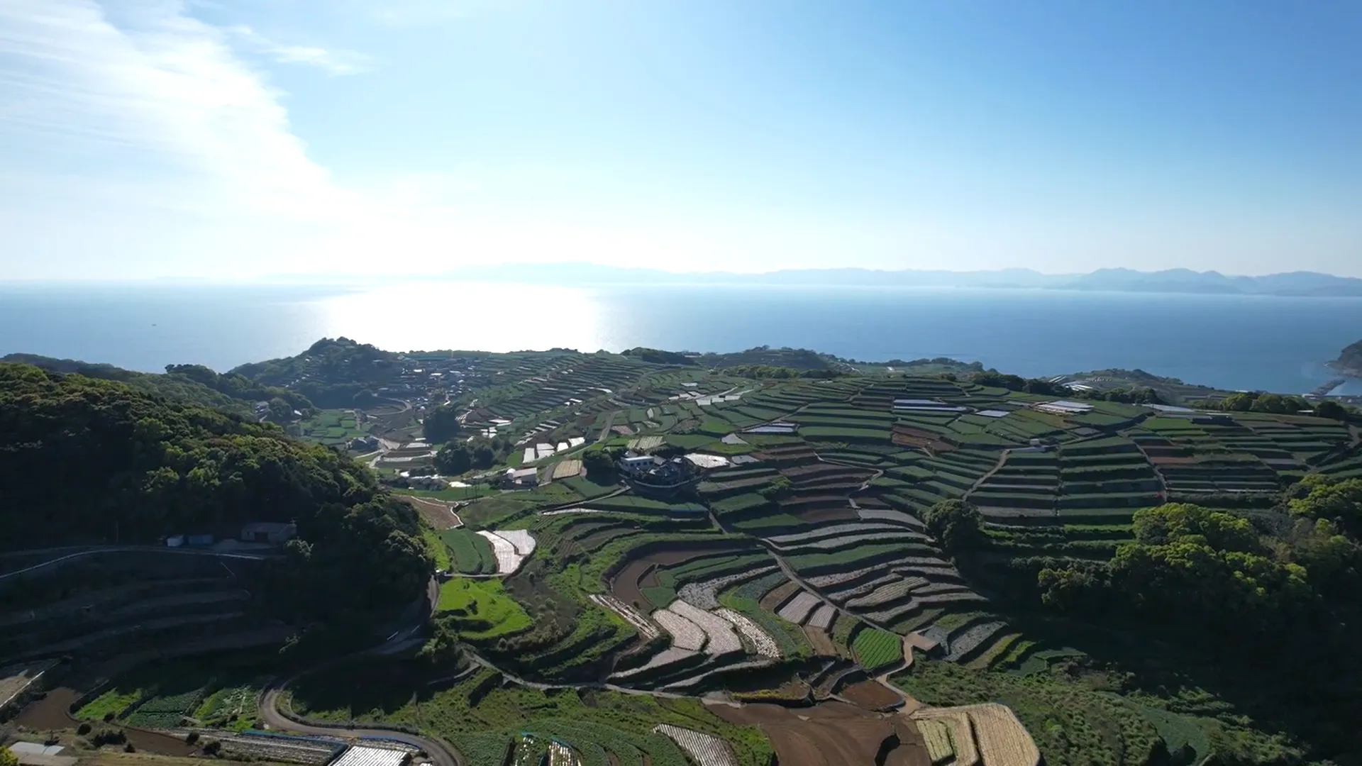 250426南串山棚畑
