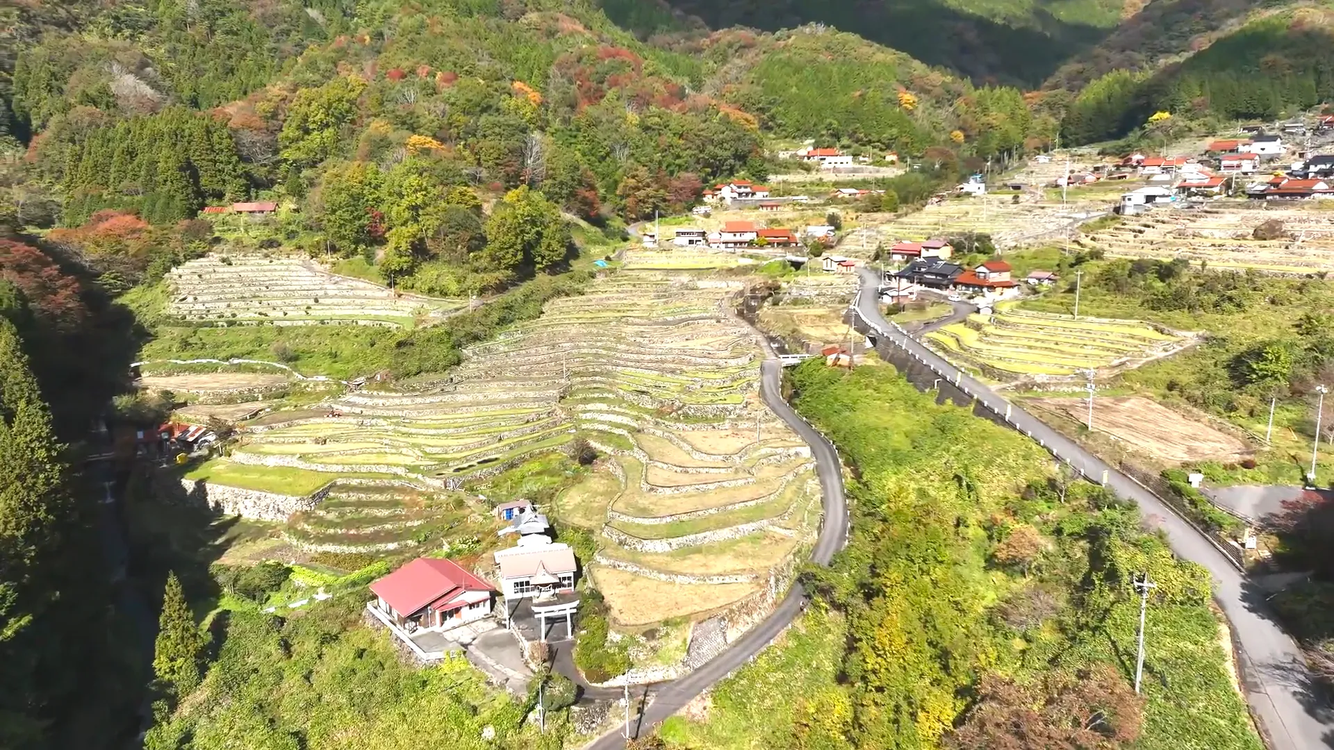 221106大井谷棚田