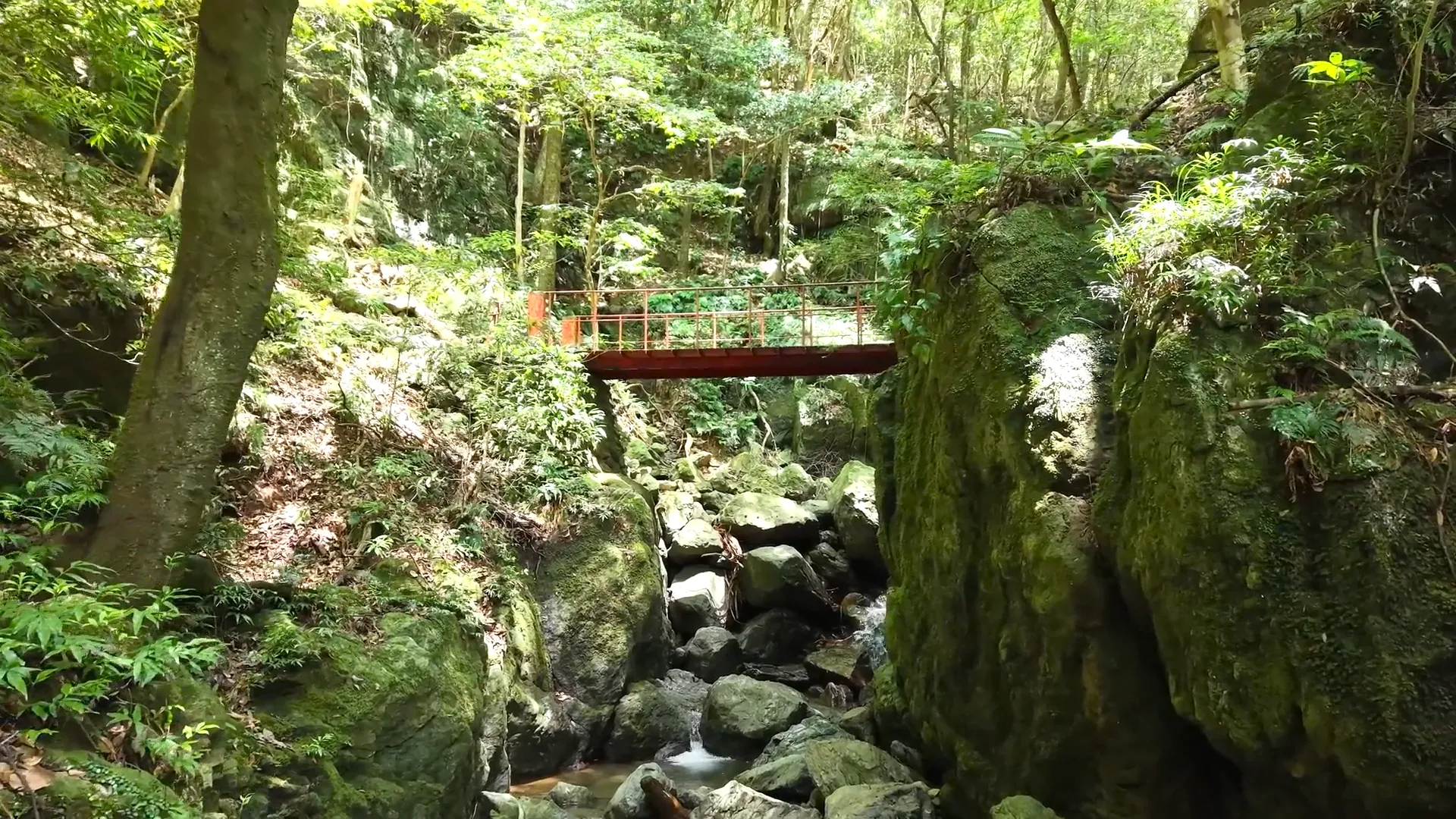 250706中山渓