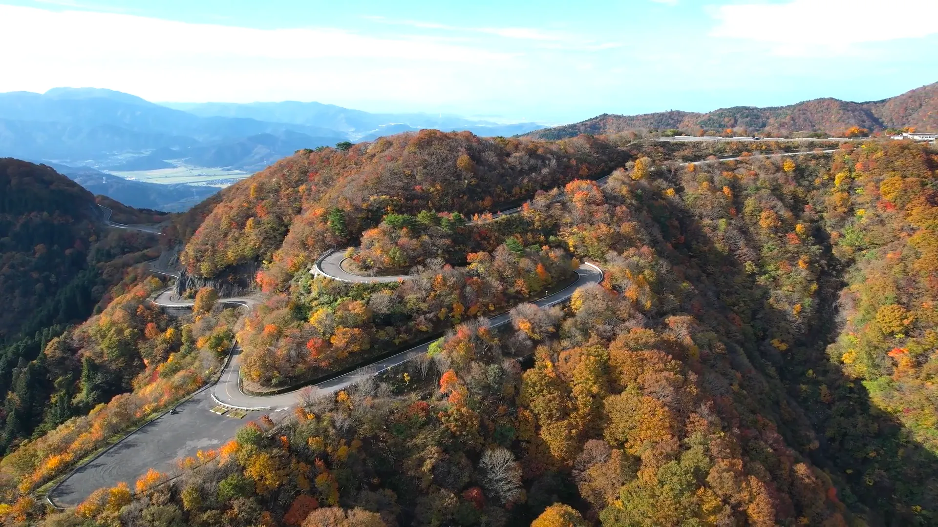 251111伊吹山ドライブウェイ（紅葉）