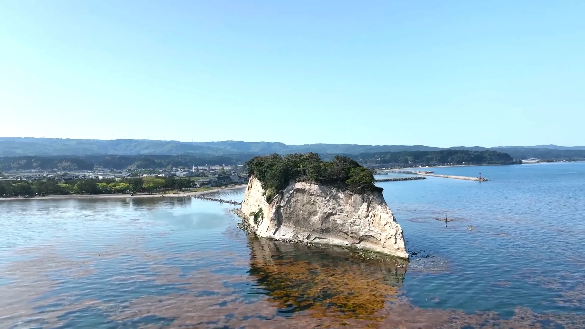 国の天然記念物