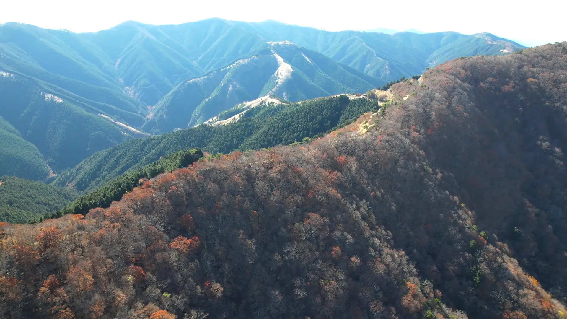 251116林道奥千丈線（紅葉）251116林道奥千丈線（紅葉）