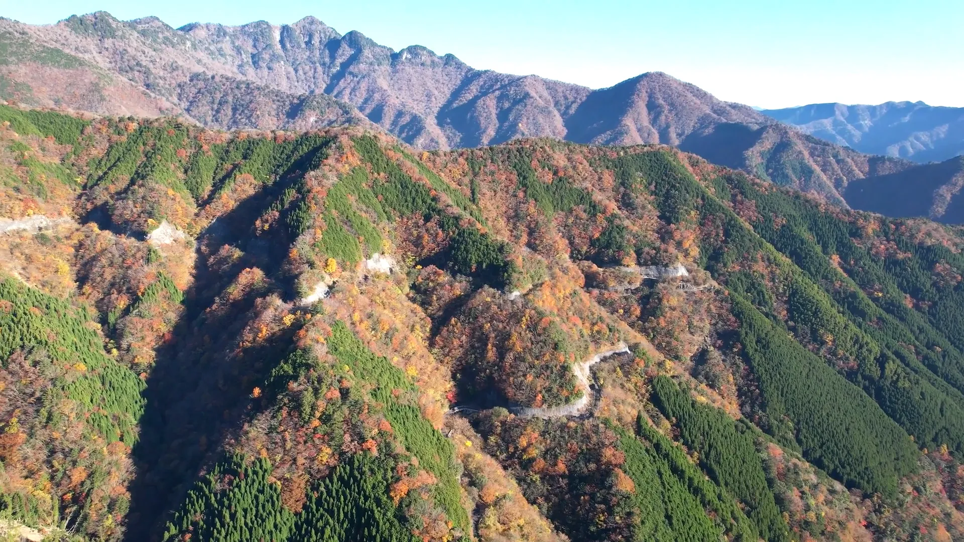 251116ナメゴ谷（紅葉）