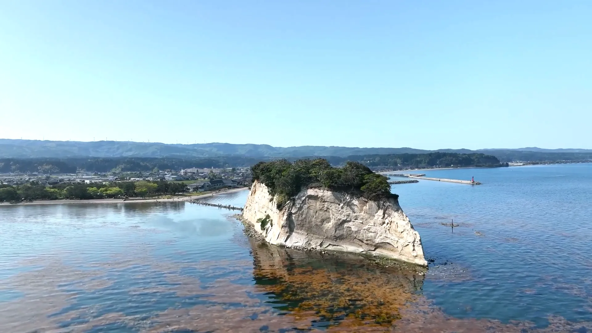 県の天然記念物