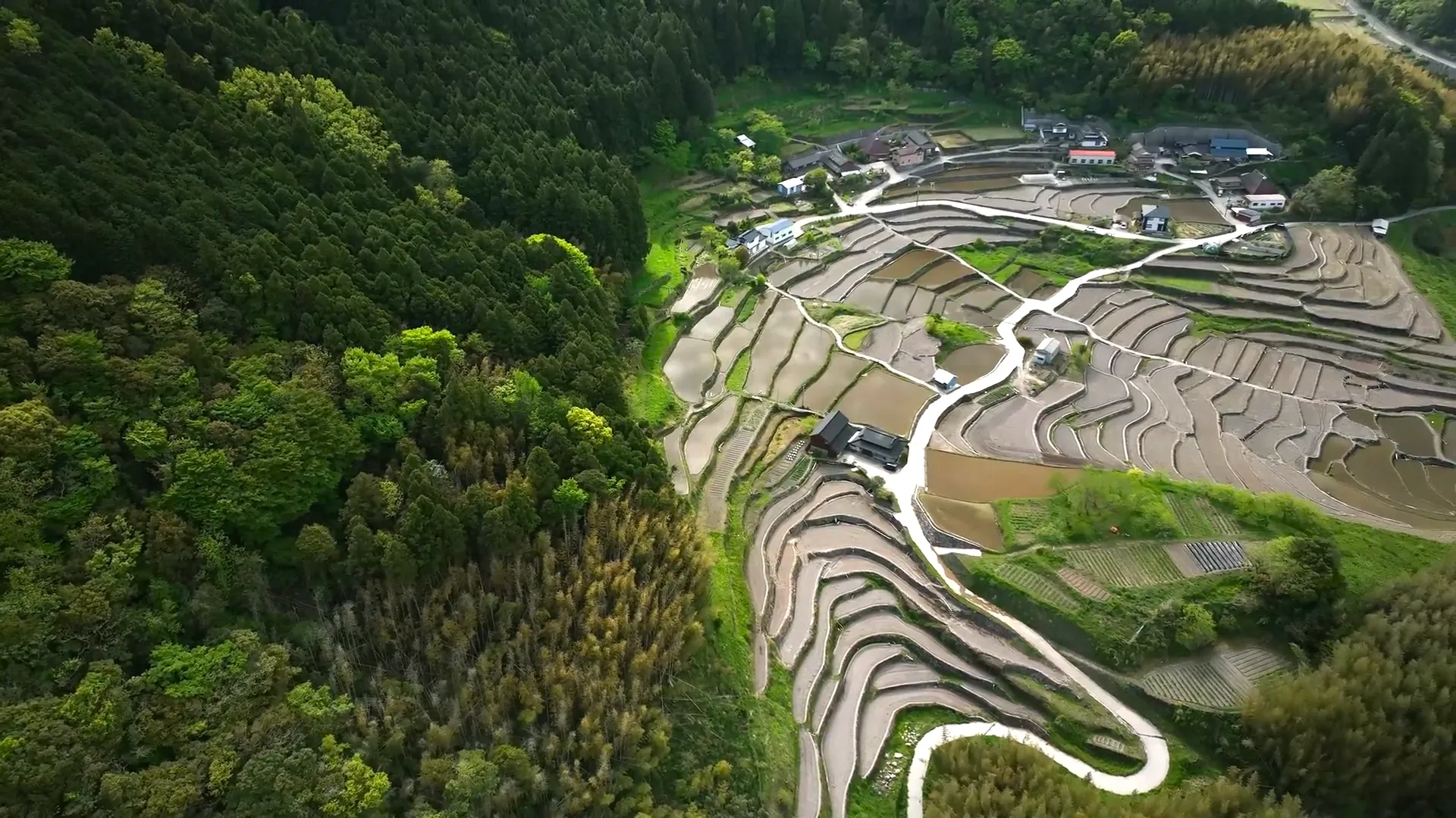 230423密乗院棚田230423密乗院棚田