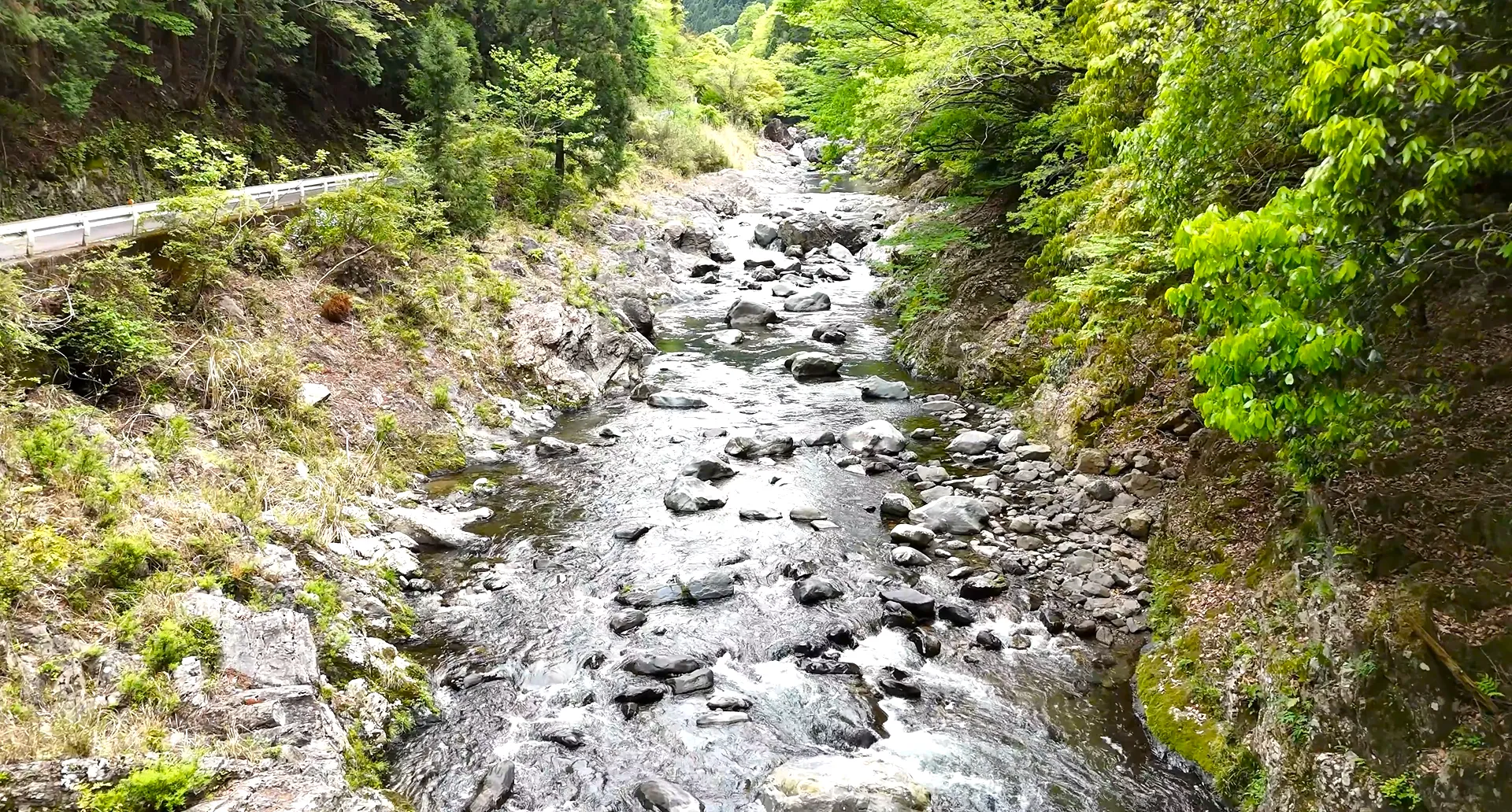 260426玉川峡260426玉川峡