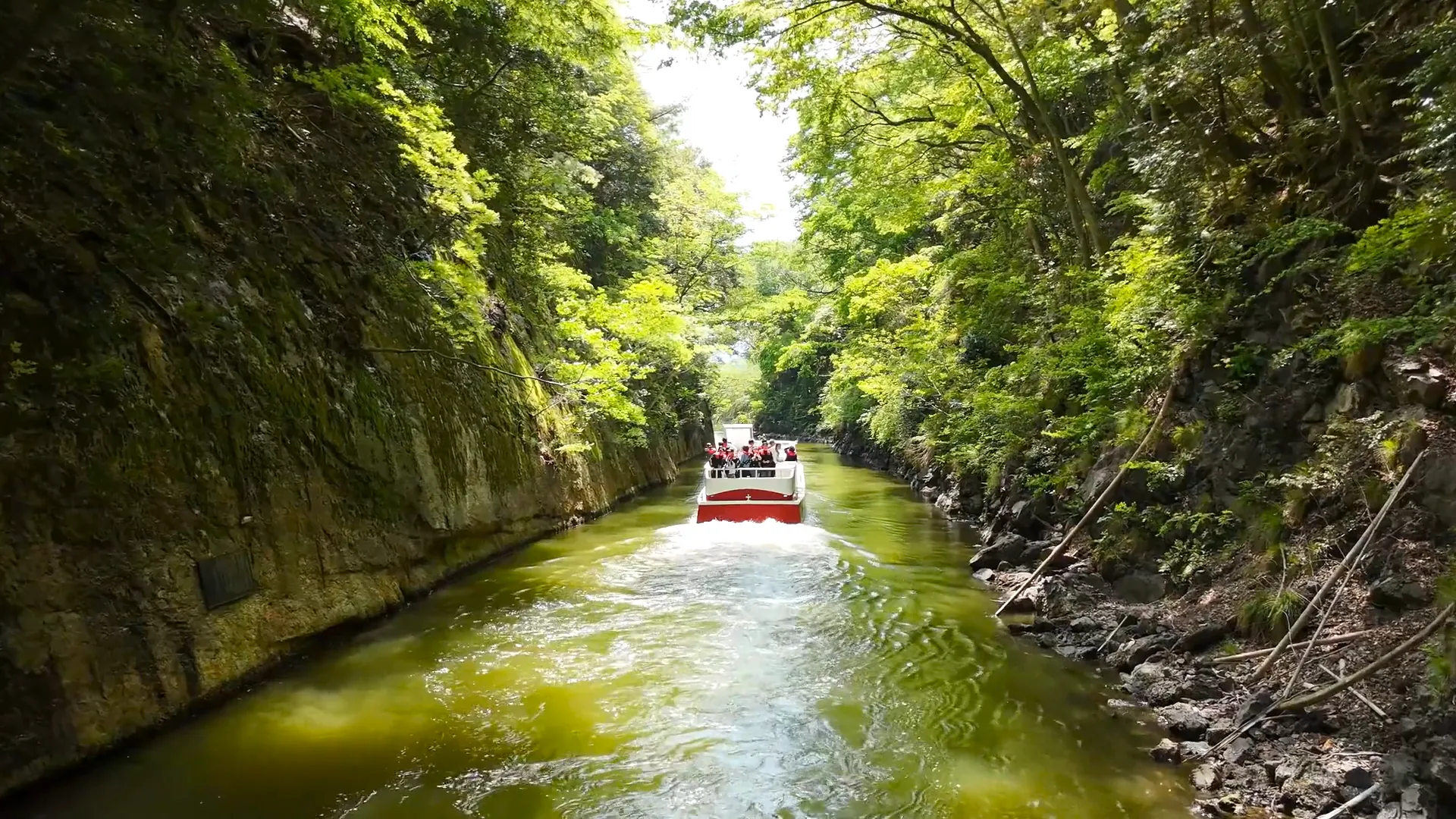 260425浦見運河／久々子湖／水月湖260425浦見運河／久々子湖／水月湖