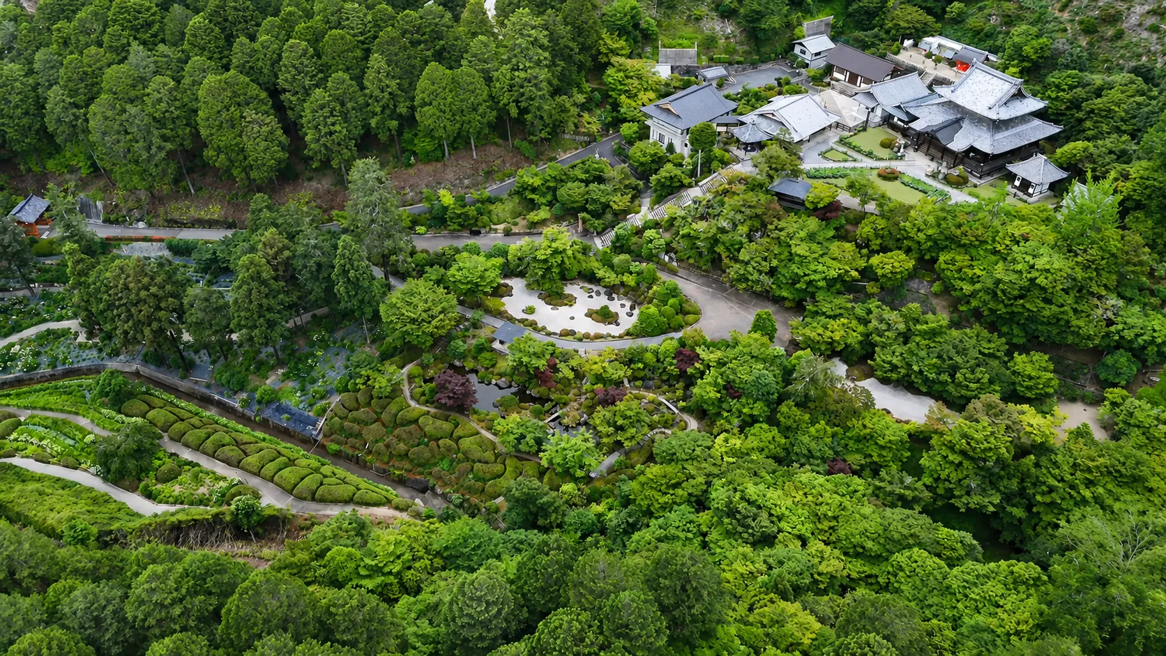 260604三室戸寺