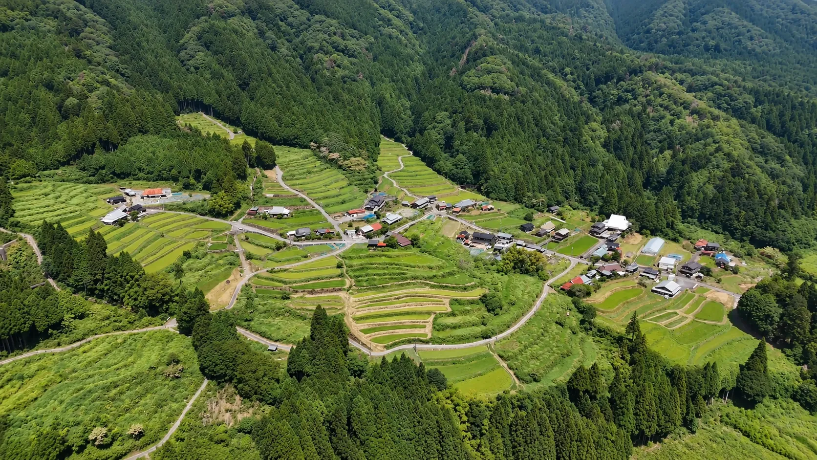 260811畑の棚田（滋賀県）260811畑の棚田（滋賀県）